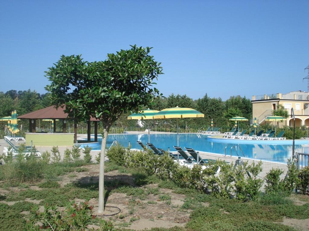 Sonia Pizzo Beach Club Apartment Exterior photo